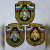 Шеврон ГПС Севастополя МЧС России